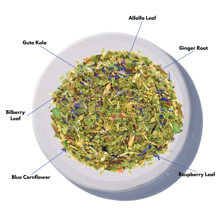 Ecliptic Focus Herbal Tea – Stay Sharp & Centered Naturally