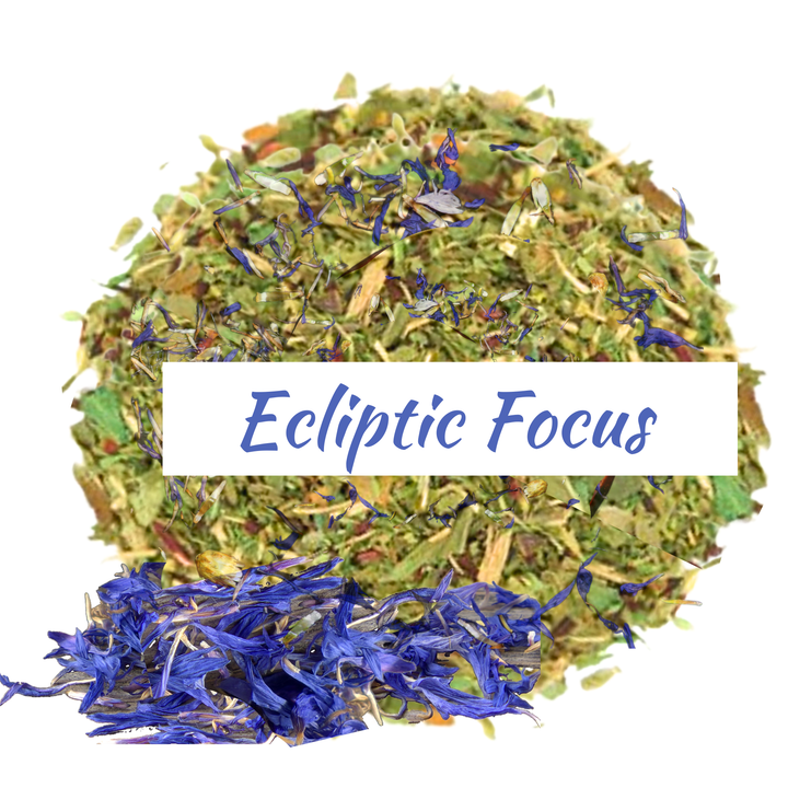 Ecliptic Focus Herbal Tea – Stay Sharp & Centered Naturally